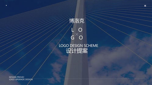 博洛克科技 從原創(chuàng)視覺到品牌價(jià)值的logo設(shè)計(jì)之道