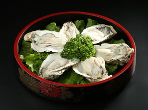 東莞市潤態(tài)然餐飲管理 動態(tài)發(fā)展與創(chuàng)新實(shí)踐