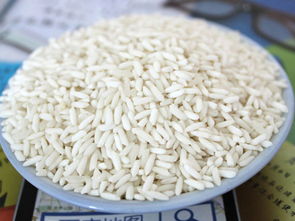 卓越之選 全家福膳食餐飲管理，肇慶食堂承包領(lǐng)域的領(lǐng)航者